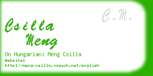 csilla meng business card